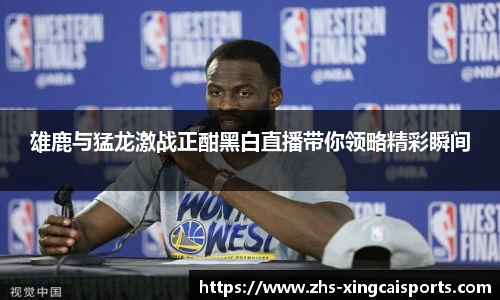 雄鹿与猛龙激战正酣黑白直播带你领略精彩瞬间